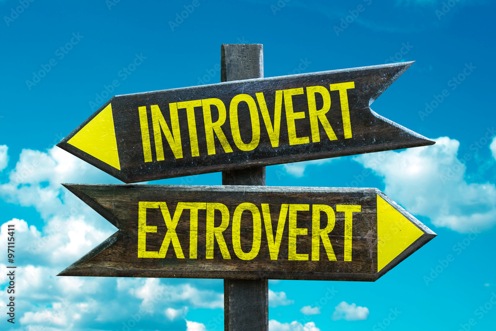 The Introvert’s Way